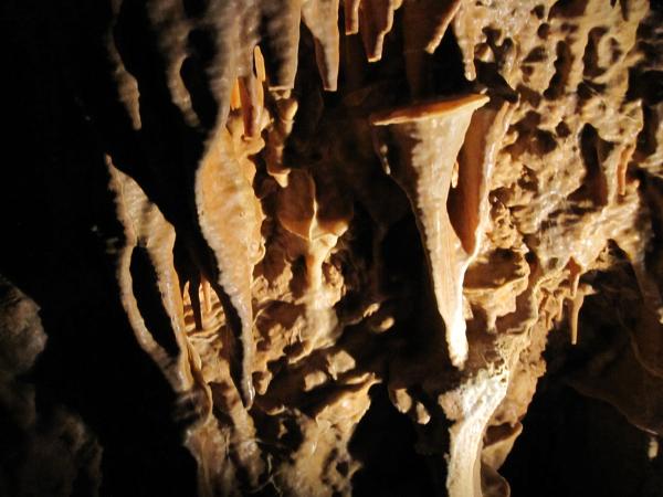 IMG_0036