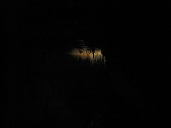 IMG_0075