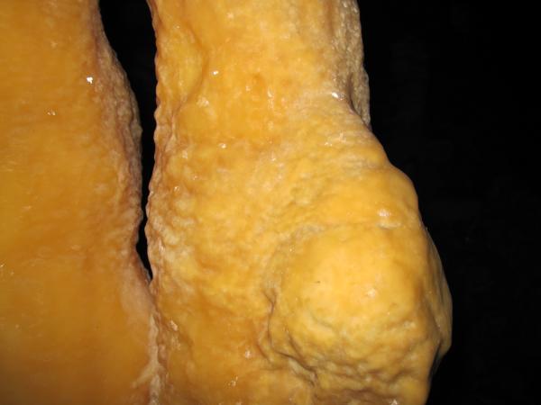 IMG_0035